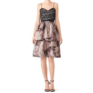 Slate & Willow Julia Rose Lace & Black Bodice Dress Size 6